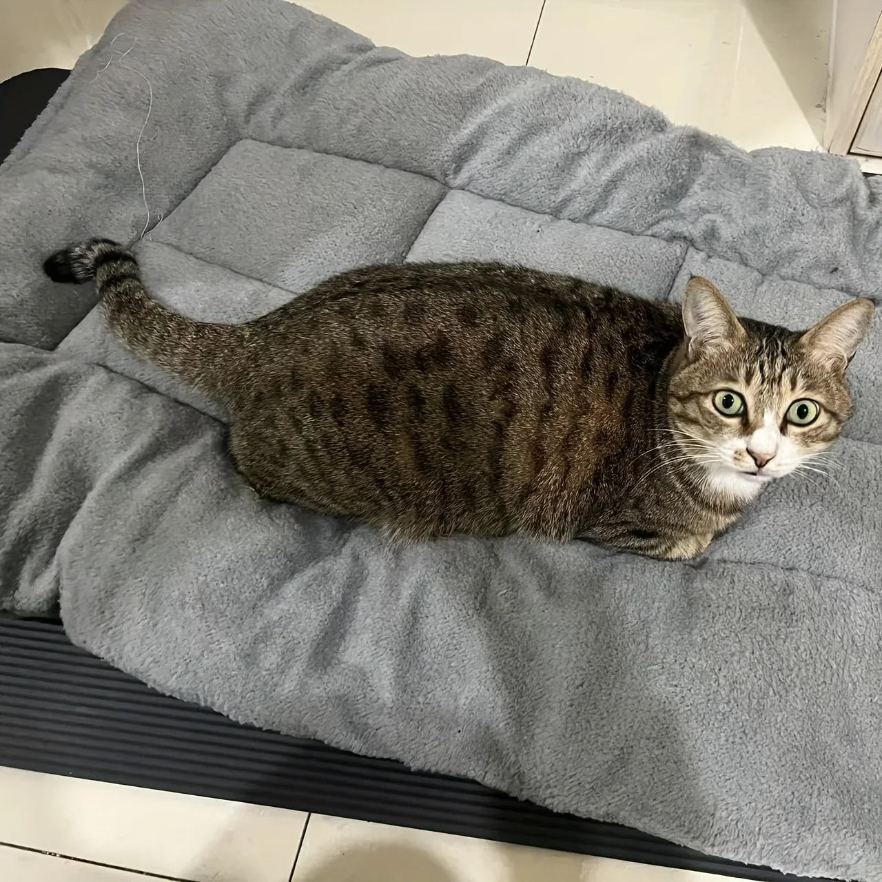 Extra-large Plush Dog Bed/sofa/cat Bed/dog House/cage Mat, Thick and Super Soft Polyester Pet Mat